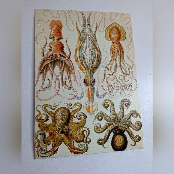 Two displate posters - Picture 2 of 2